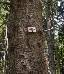 Der Westweg ist dank der roten Raute leicht zu finden. Die Beschilderung findet man auf dem Weg immer wieder.