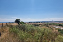 RheinBurgenWeg führt über Feldwege
