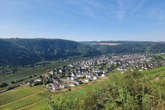 Ausblick von der Schutzhütte am Flugplatz in Richtung Winningen
