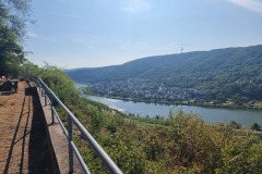 Ausblick von der Schutzhütte am Flugplatz in Richtung Koblenzer Stadtwald