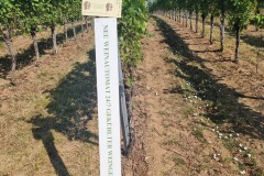 Den Weinautomaten habe ich leider nicht gefunden :(