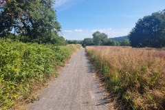 Langweiliger Wirtschaftsweg Richtung Koblenz-Güls