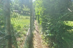 30cm breiter "Wanderweg" in der Kleingartensiedlung