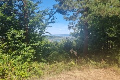 Ausblick von der Schutzhütte "Moselblick"