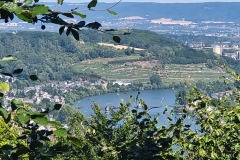 Blick auf die Mosel. Links Koblenz-Güls, mittig die Moselbrücke. hinten rechts Koblenz
