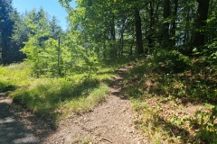 Abzweig zur RotWeißHütte