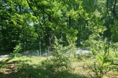 Der RheinBurgenWeg wechselt zwischen Forstwege und Pfade