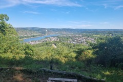Blick auf Rhens. Links der Rhein.