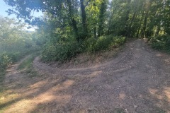 Abstieg kurz vor Rhens