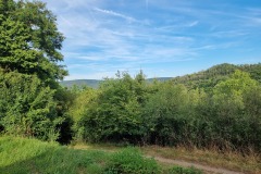 Schutzhütte "Auf Riwisch"