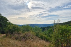Morgenstimmung an der Schutzhütte "Auf Riwisch"