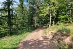 Waldweg irgendwo zwischen Rhens und Boppard