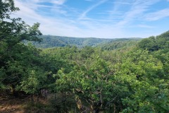 Blick über das Mühlbachtal Richtung Südwesten