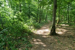 RheinBurgenWeg kurz vor Boppard