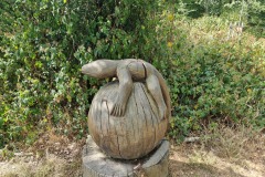 "Eidechse" am Wegrand