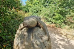 "Eidechse" am Wegrand