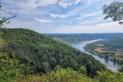 Blick auf den Rhein und Filsen (Rechtsrheinerisch rechts am Rand)