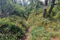 Warnung am Abstieg nach Boppard