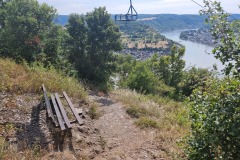 Ausblick auf den Rhein. Links der Ort Filsen