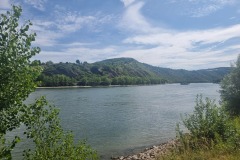 Der Rhein bei Boppard