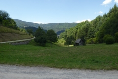 P1030105