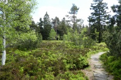 P1000301