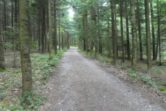 P1030995