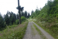 P1030997
