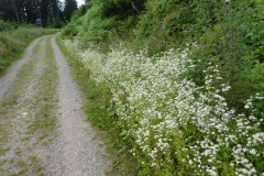 P1030999