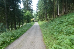 P1040001