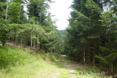P1040005
