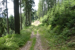 P1040011