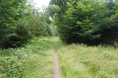 P1040016