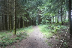 P1040017