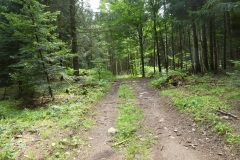P1040028