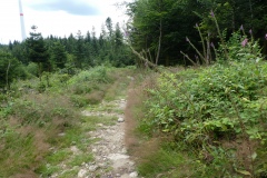 P1040029