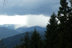 P1040039