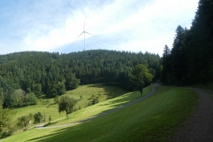 P1040065