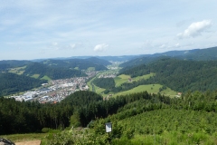P1040078