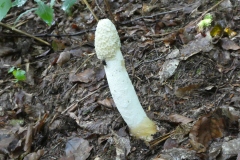 P1040091