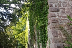 20170525_172542