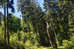 20170526_125329