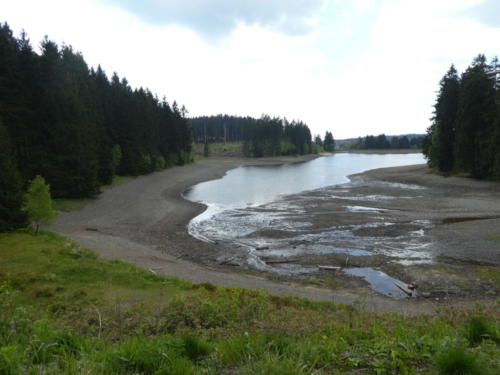 Unterhalb des Bärenbrucher Teich