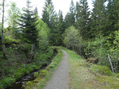 Dammgraben bei der Eisenquelle