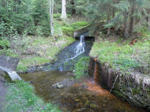 Mündung großer Gerlachsbach in den Dammgraben. Rechts der Zufluss der Eisenquelle