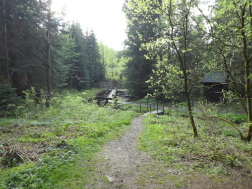 Blick von der Eisenquelle zum Dammgraben