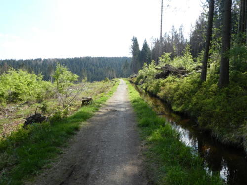 Weg entlang des Dammgraben