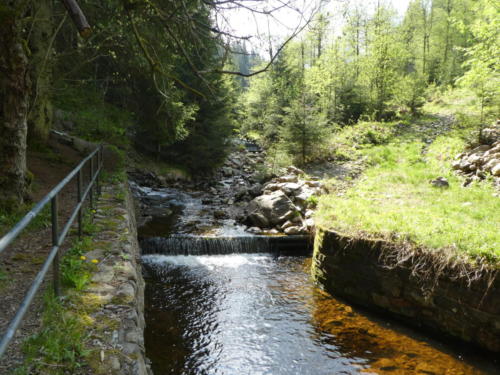 Die Große Oker mündet in den Dammgraben