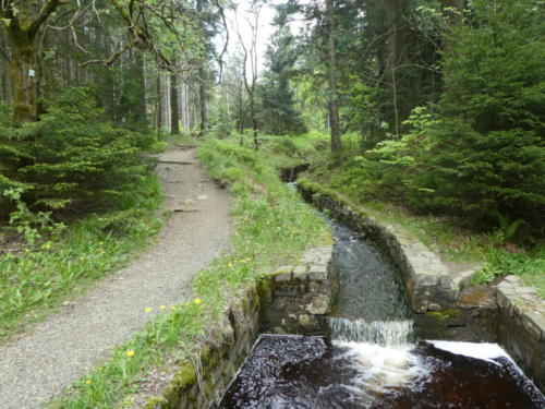 Kehrbecken am Dammgraben