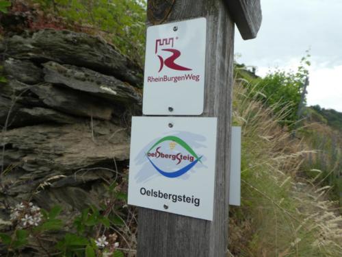 Rheinsteig und Oelsbergsteig